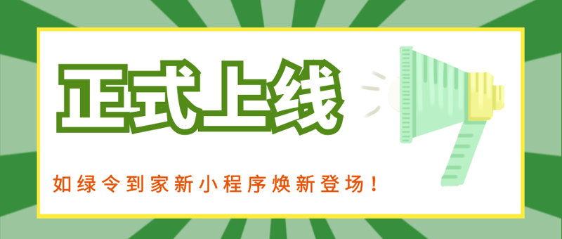 海口龙华卉岩网络科技公司的网络发展之路